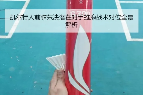 凯尔特人前瞻东决潜在对手雄鹿战术对位全景解析